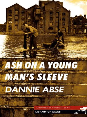 cover image of Ash on a Young Man's Sleeve
